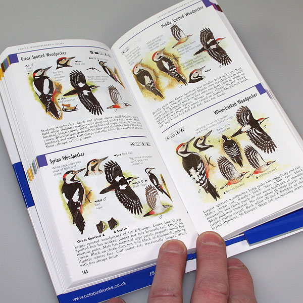 The Mitchell Beazley Birdwatcher's Pocket Guide by Hayman & Hume